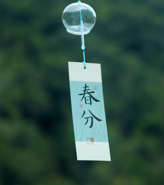 春分竖版｜春天雨后新叶与溪流清新自然生态