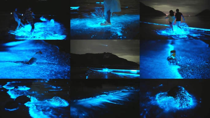平潭蓝眼泪荧光海4K