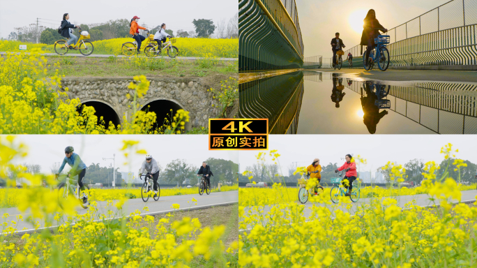 成都绕城绿道油菜花骑行4K