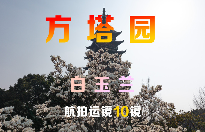 常熟方塔园白玉兰航拍运镜10镜组合