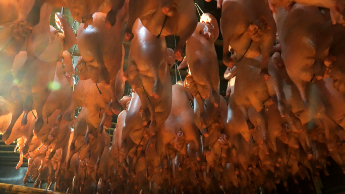 烧鹅古井烧鹅广式烧腊制作过程明炉烧鹅粤菜