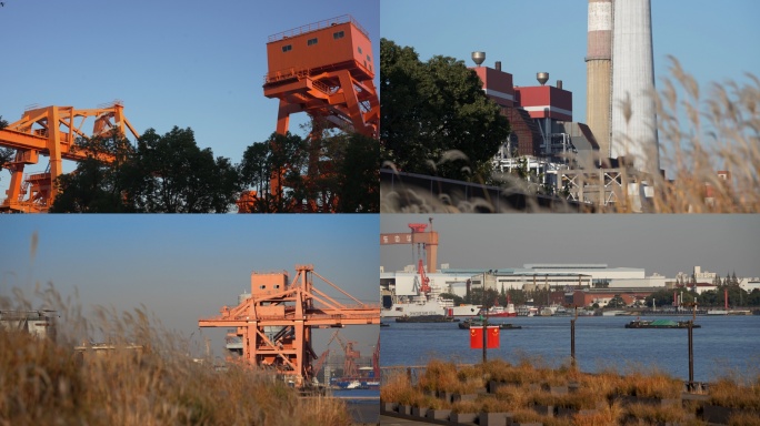 4k杨浦滨江人文 城市绿化 慢节奏生活