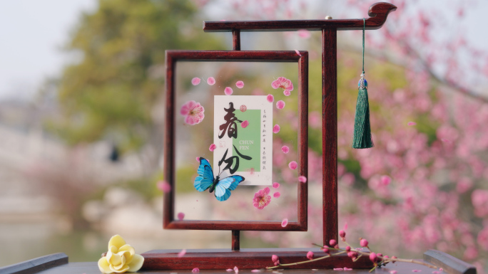 春分 春分节气 唯美春天 春天空镜小清新