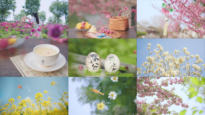 春分 春分节气 唯美春天 春天空镜小清新