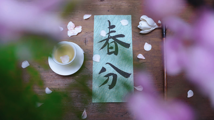 春分 春分节气  春分视频