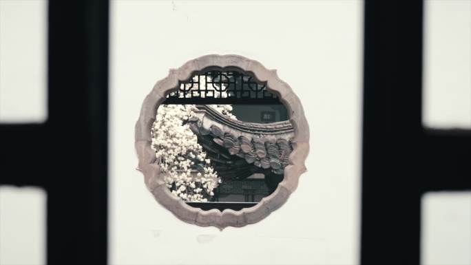 何园玉兰花