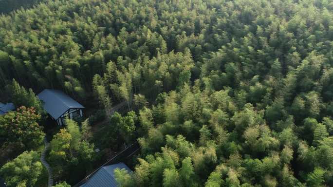 竹海民宿景观航拍4k