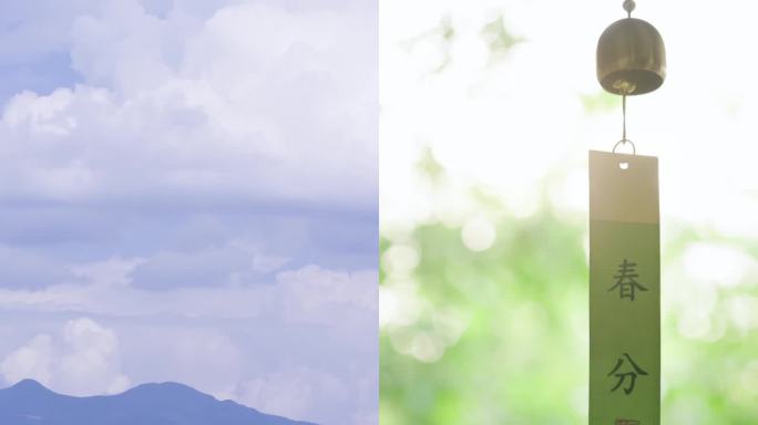 春分竖版 春分 春天风景 唯美春天空镜