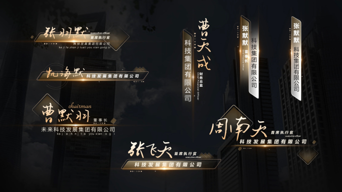 金色人名字幕条