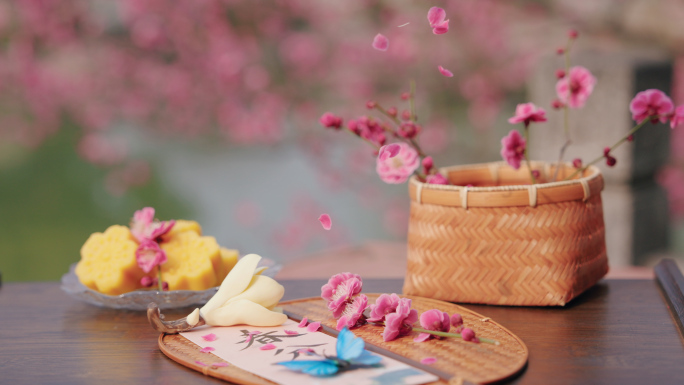 春分 春分节气 春天风景 春天空镜 立春