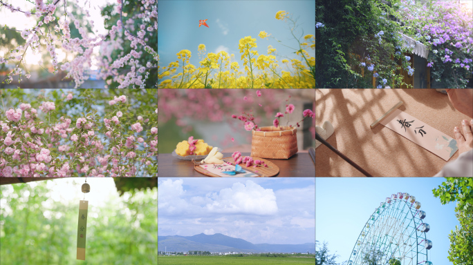 春分 春分节气 春天风景 春天空镜 立春