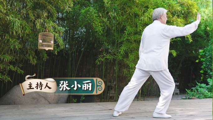 中国风国潮国风花字中医传统文化节目导视