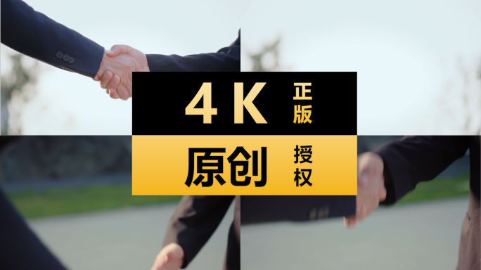 两个人商务握手