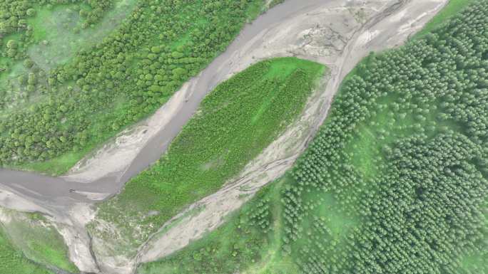 河流蜿蜒穿梭森林航拍