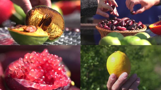 奇异水果特写大全 手指柠檬树葡萄神秘果等