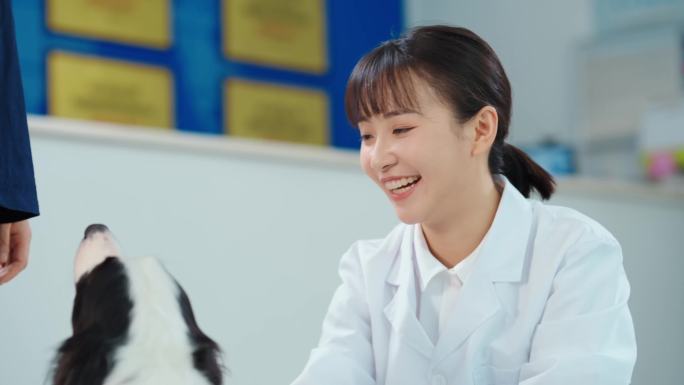 动物医生宠物医院兽医动物志愿者动物手术