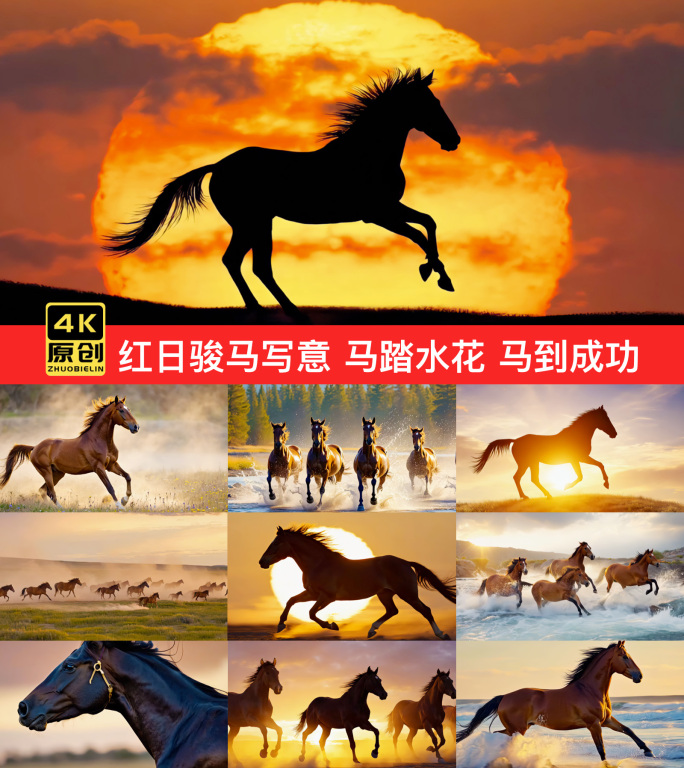 红日骏马写意 马踏水花 马到成功 马奔跑