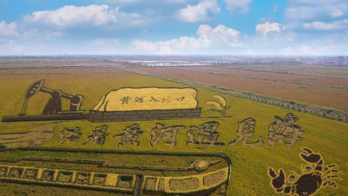 乡村振兴稻田画 东营-黄河入海口