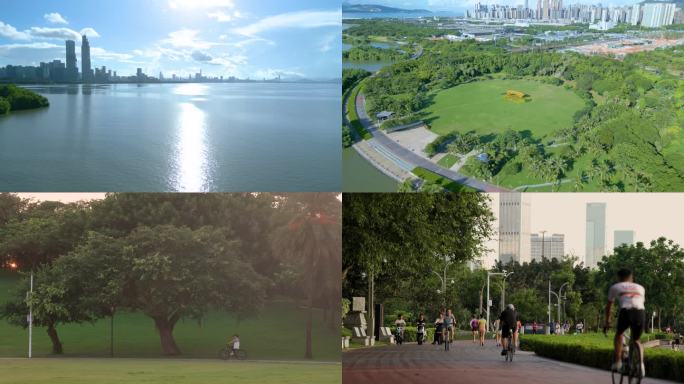 深圳城市风光与公园景色
