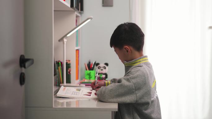 小学生认真写作业
