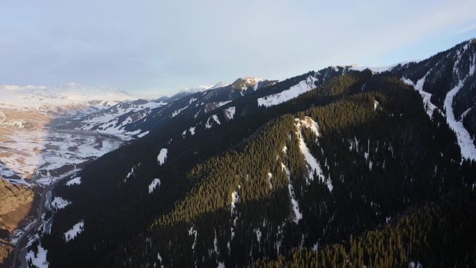 新疆阿勒泰地区雪山森林航拍