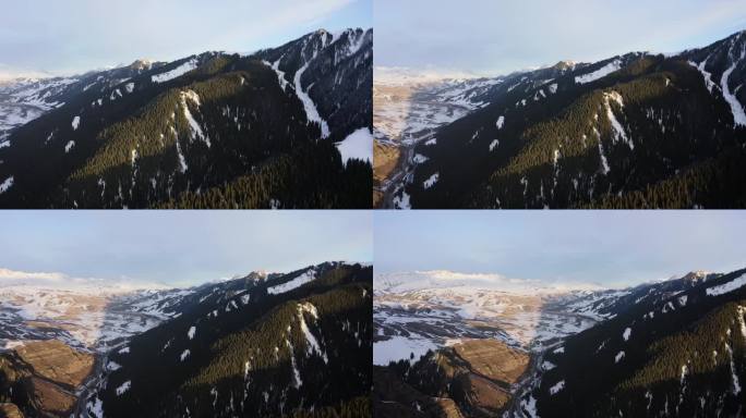 新疆阿勒泰地区雪山森林航拍