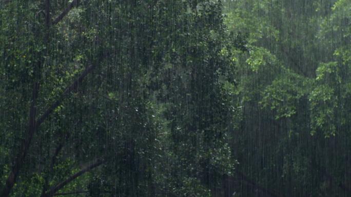 强降雨特大暴雨雨水冲刷河流水位上涨泄洪