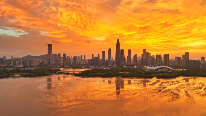 深圳湾深圳宣传片航拍深圳湾夜景深圳湾延时