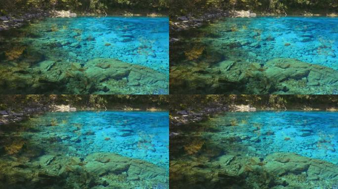 九寨沟五彩池实拍