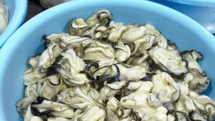生蚝海鲜食材特写海鲜美味 高蛋白