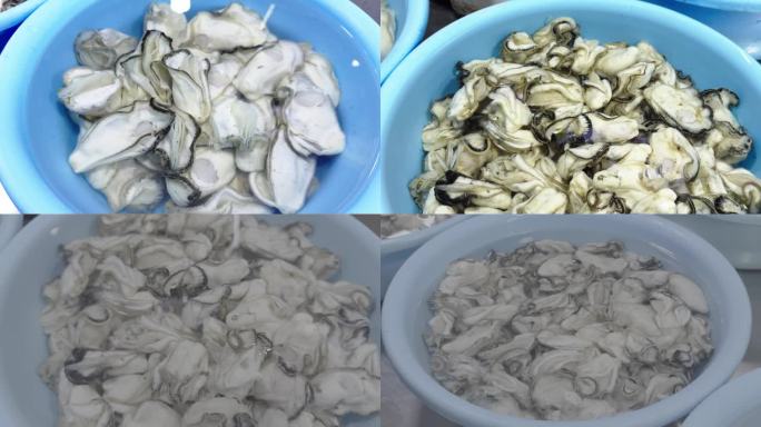 生蚝海鲜食材特写海鲜美味 高蛋白