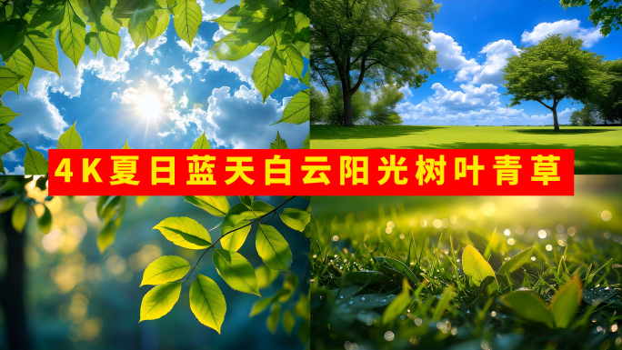 4K夏日蓝天白云阳光树叶青草