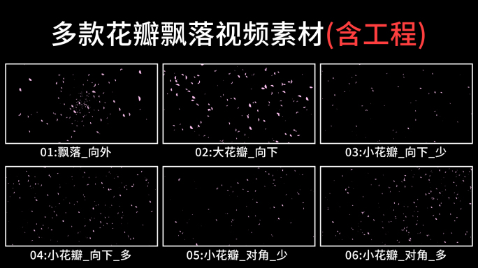 多款花瓣飘落视频素材_含AE工程_循环