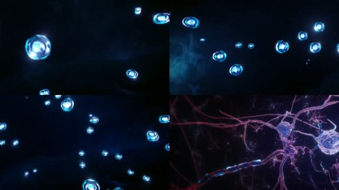 细胞穿梭 C4D细胞分裂动画文件