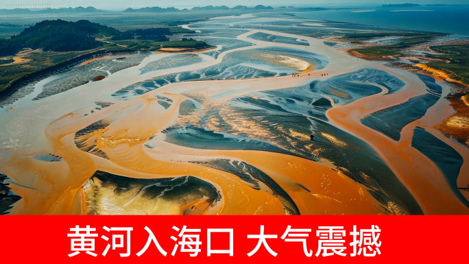 黄河入海口