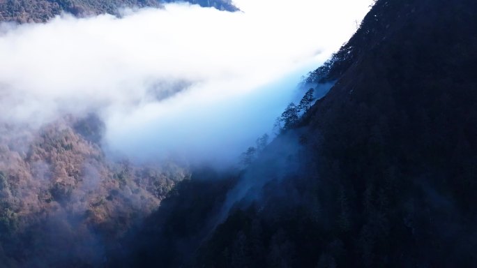 航拍山间云海森林景观
