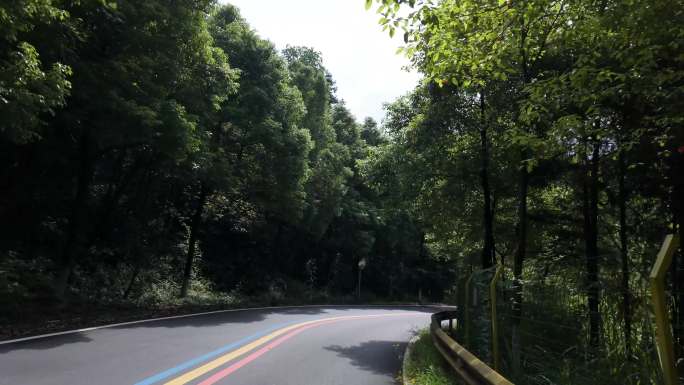 森林公路林荫大道骑自行车骑行第一视角