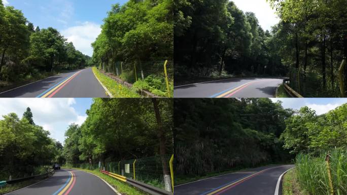 森林公路林荫大道骑自行车骑行第一视角