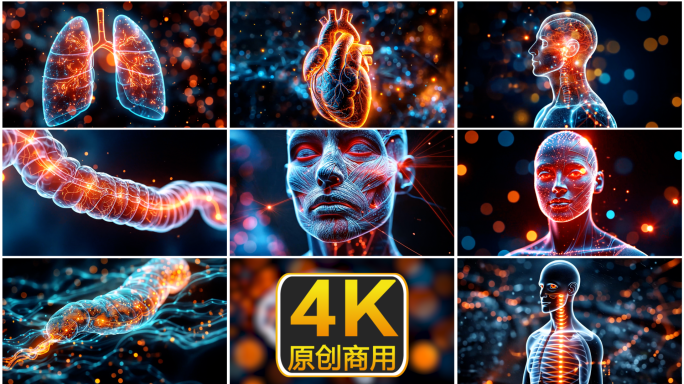 人体器官科技感展示 细胞与器官的数字世界