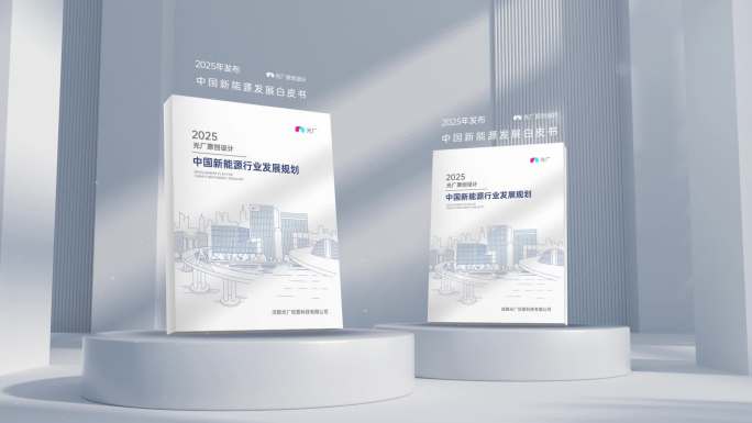 三维白皮书书本书籍展示