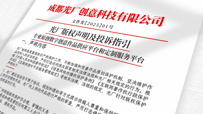 红头文件政府报告展示