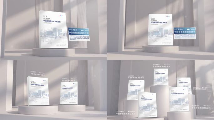 白皮书蓝皮书三维书本展示