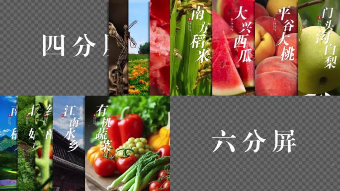 项目对比分屏效果04