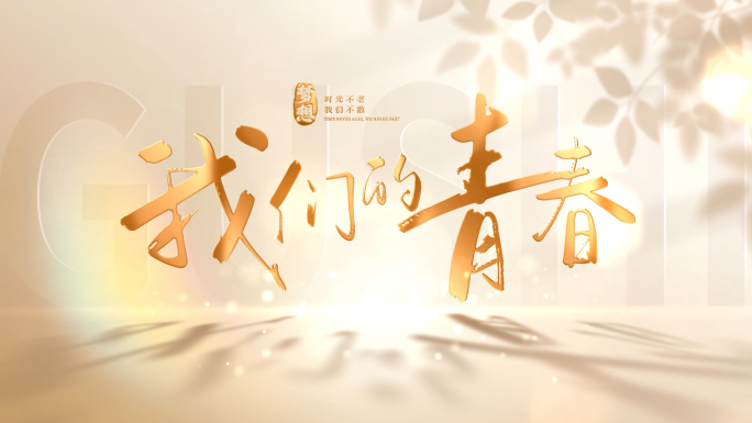 金色片头文字标题字幕【无需插件】08