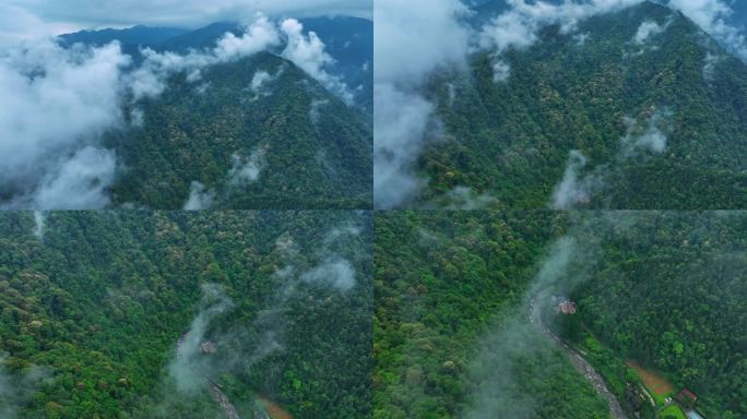 云雾缭绕的山峦森林-梵净山