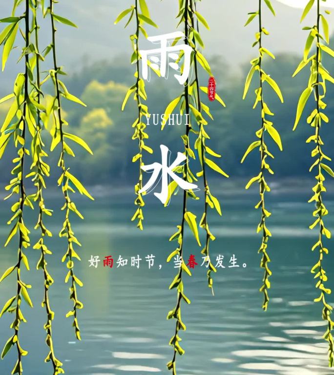 二十四节气雨水竖版AE模板