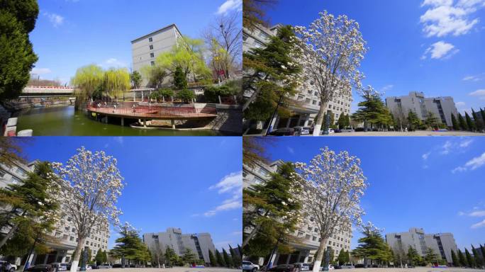 8k 实拍大学校园 山东财经大学