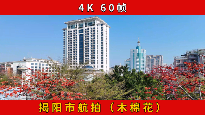 揭阳 揭阳楼 榕江大酒店 揭阳市木棉花开