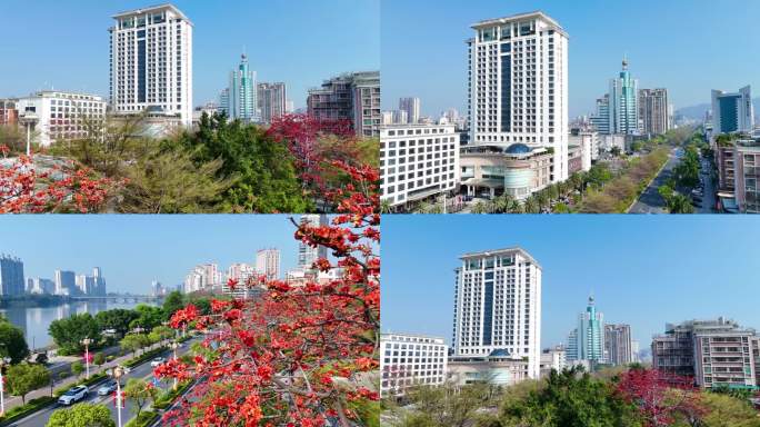 揭阳 揭阳楼 榕江大酒店 揭阳市木棉花开