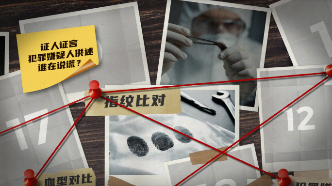 案件调查 线索分析 档案照片 证据展示